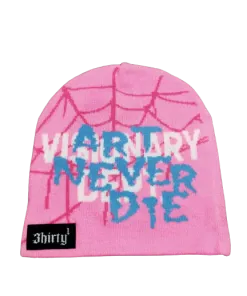 Spider Web Graphic Hat Pink